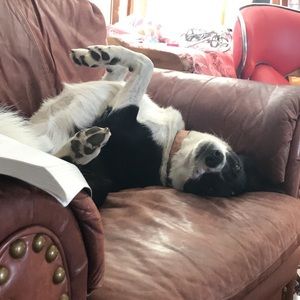 Meet your Posher, Meredith